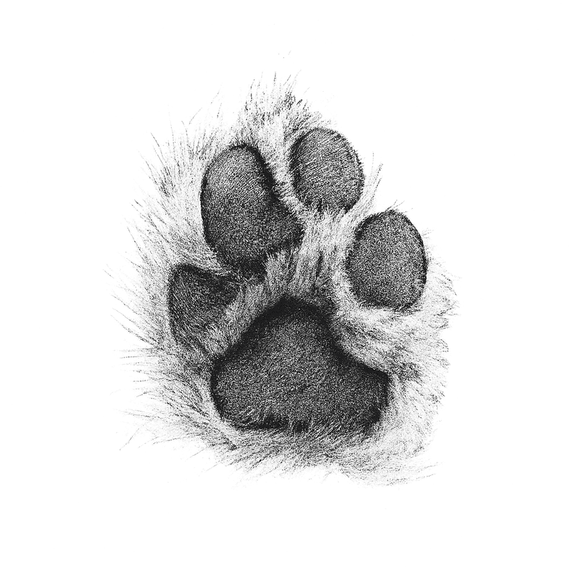 Exquisite Paw Print